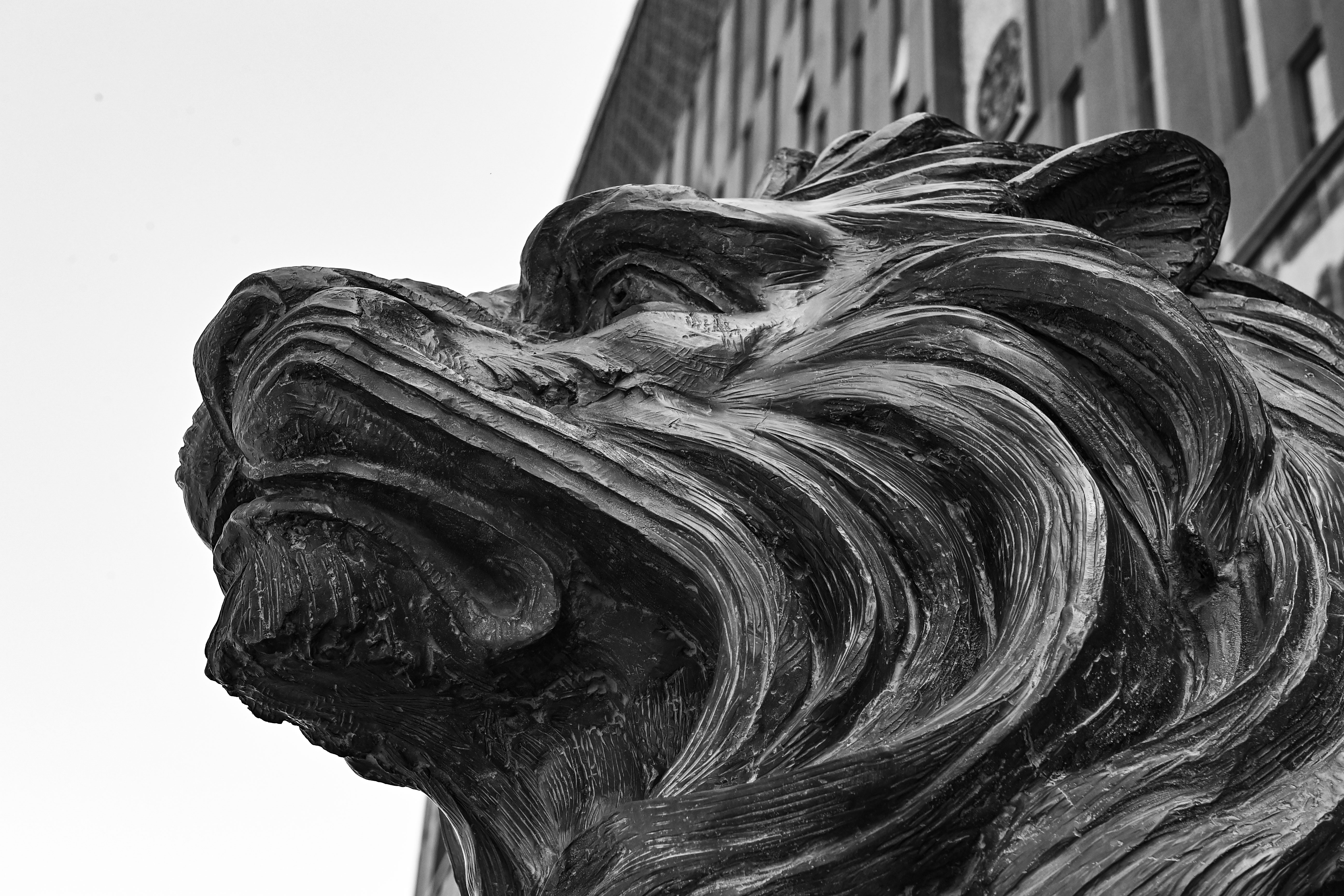 1721324977439757.jpg 333.jpg