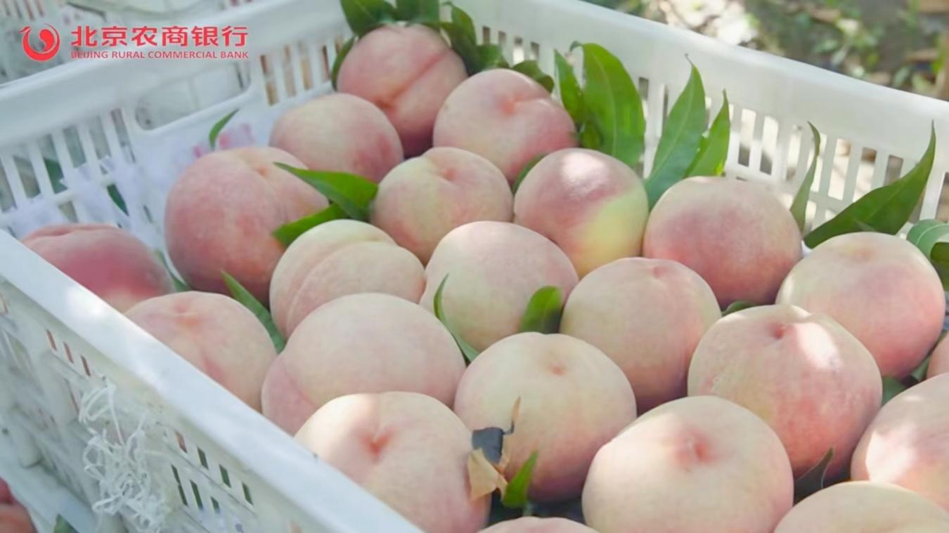 1720506043298513.png 图片2.png