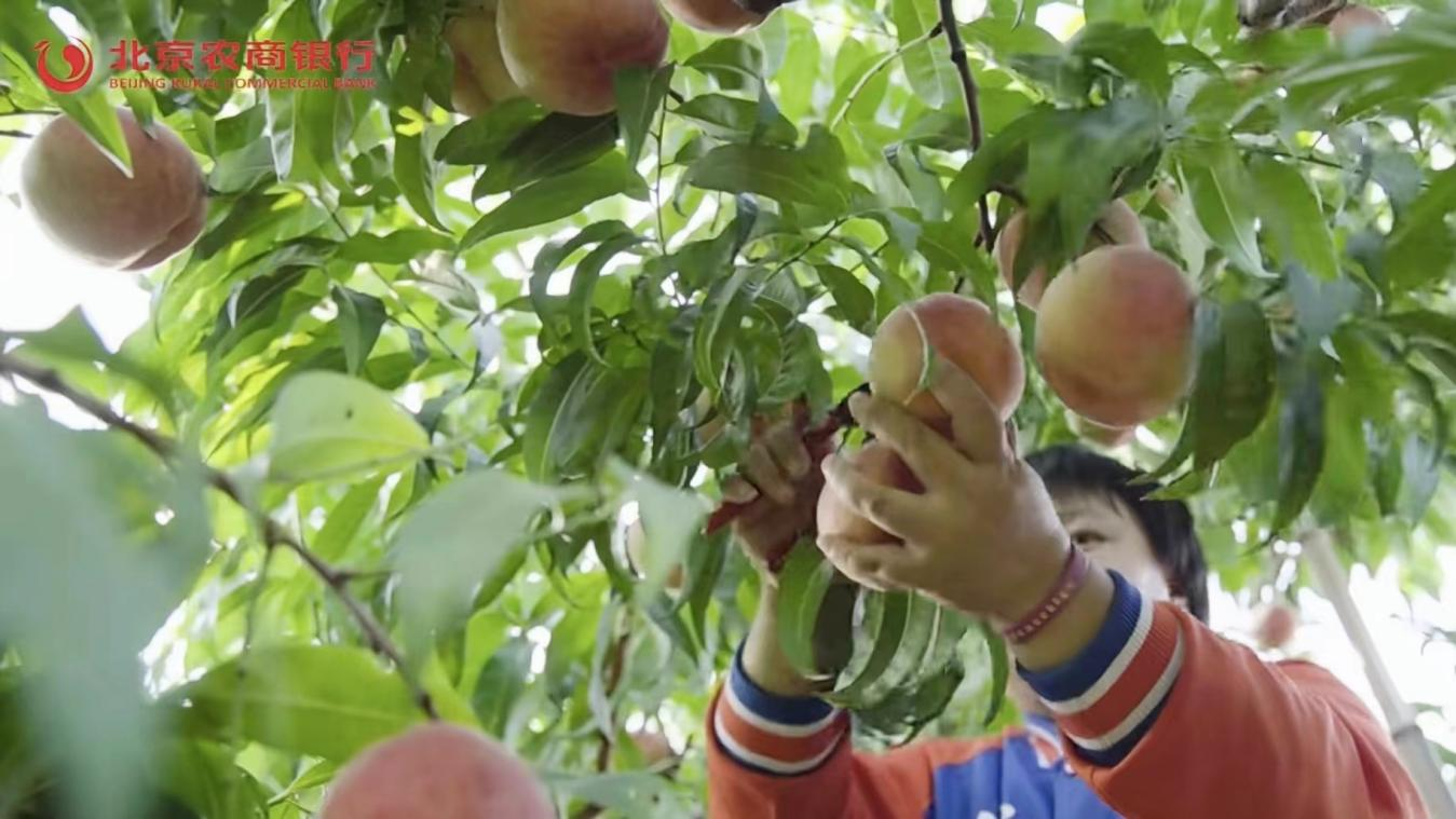 1720506085410287.png 图片3.png