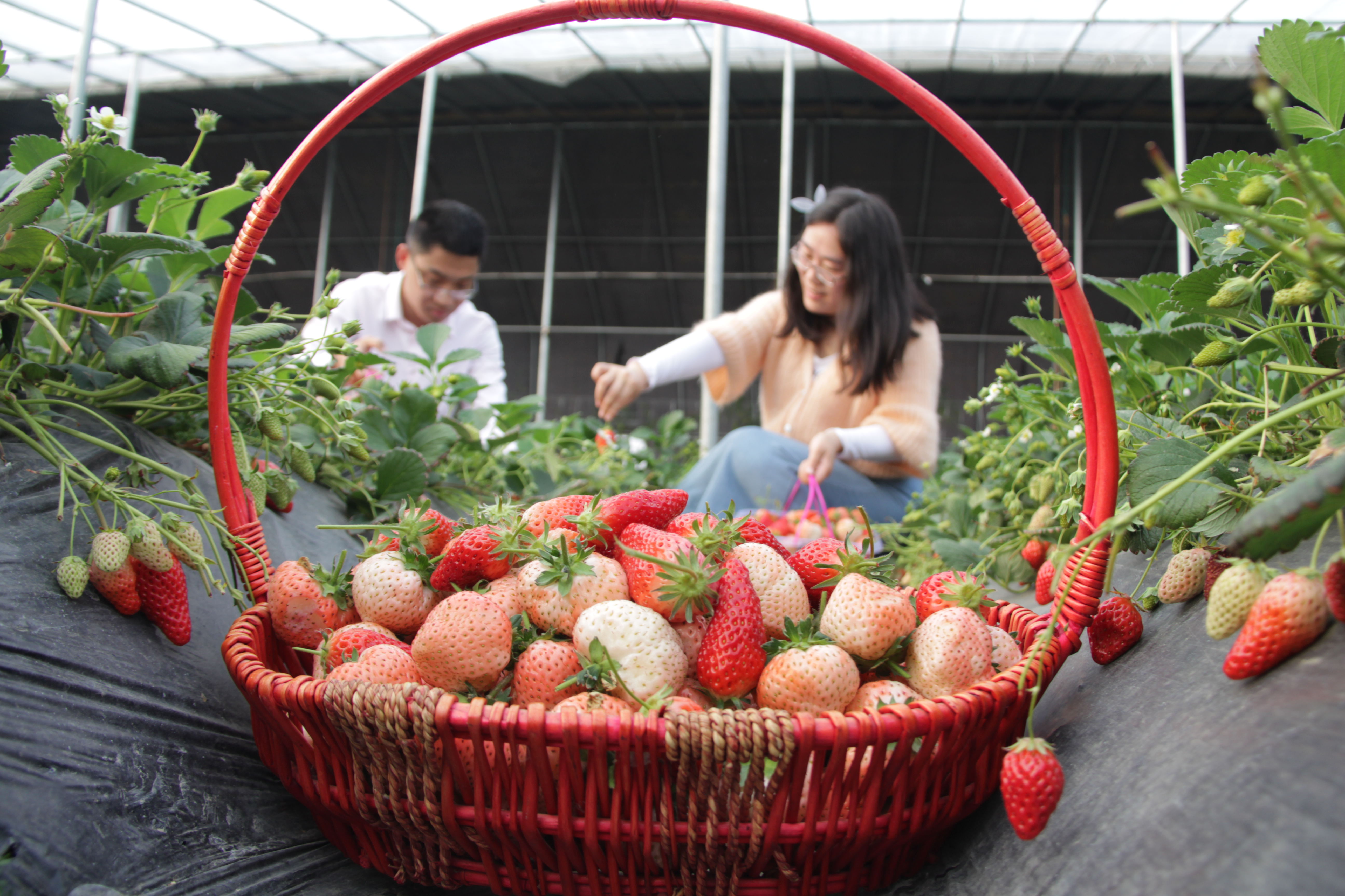 1576805417674044.jpg 微信图片_20191220092954.jpg