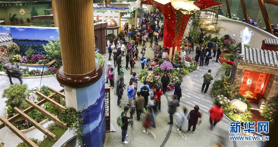 ���»�ȫýͷ����350vip�ρ�������԰�ᡤͼ�Ļ�������3������������̬������������������350vip�ρ�������԰�ῴ�й���ɫ350vip�ρ����ŵġ����繱�ס�