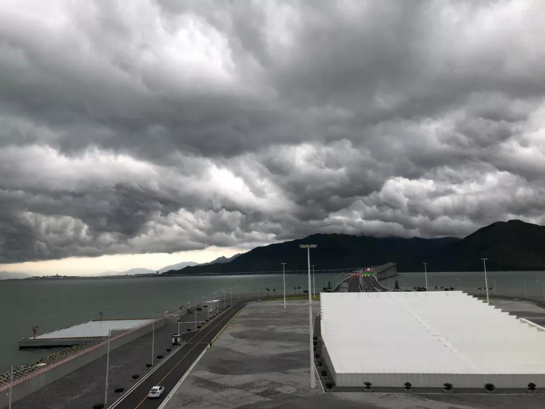 1562914350339699.jpg 4.jpg