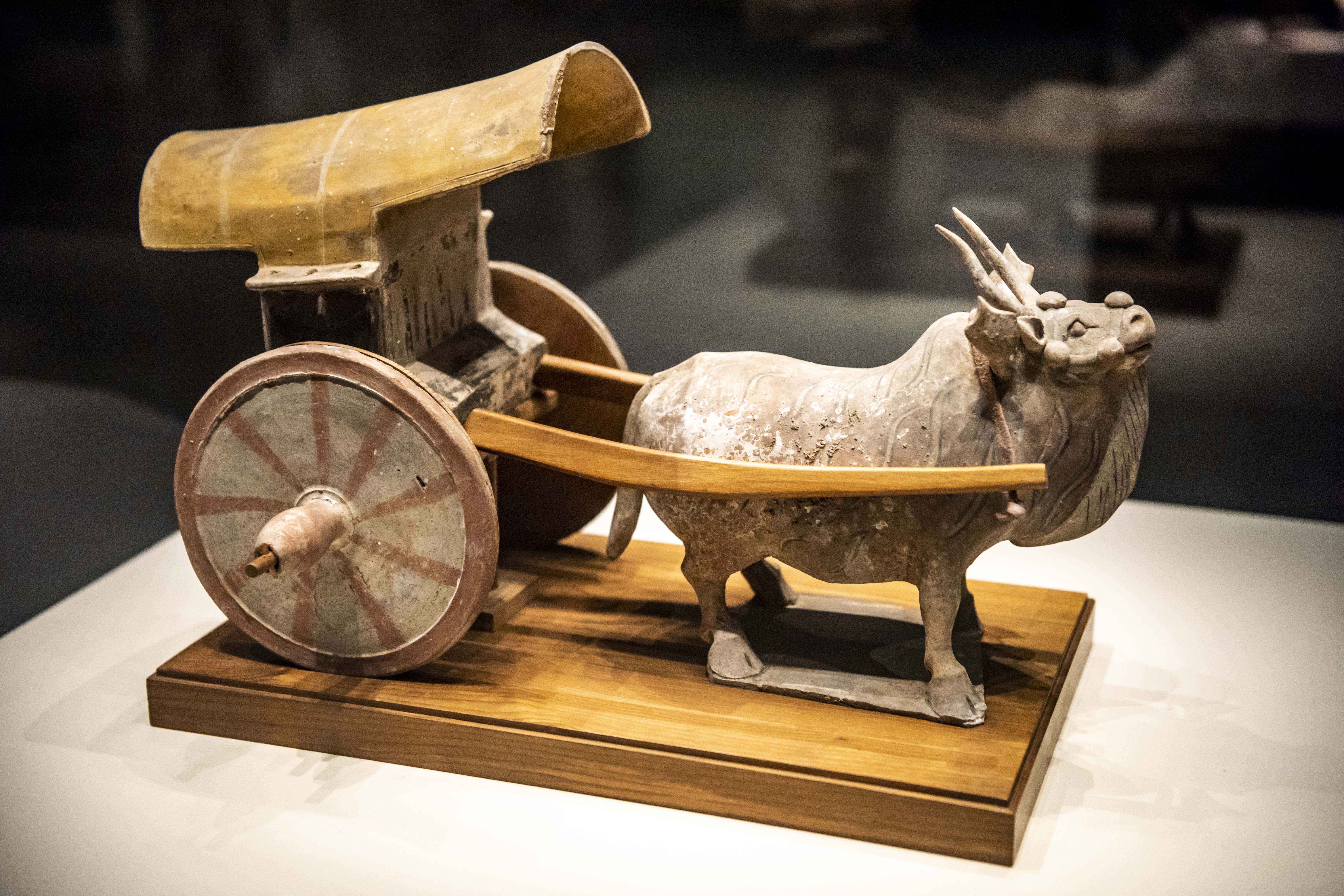 1564455838248441.jpg 0 (3).JPG