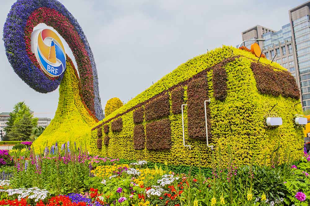 1561336339459769.jpg 8.jpg