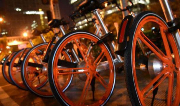 1532584842981803.jpg tp.jpg