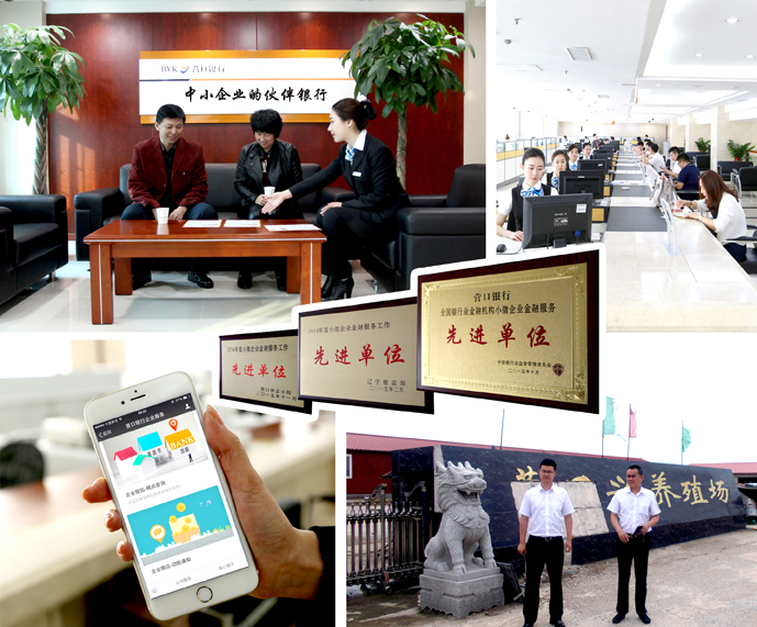 1535939543800294.jpg 5.jpg